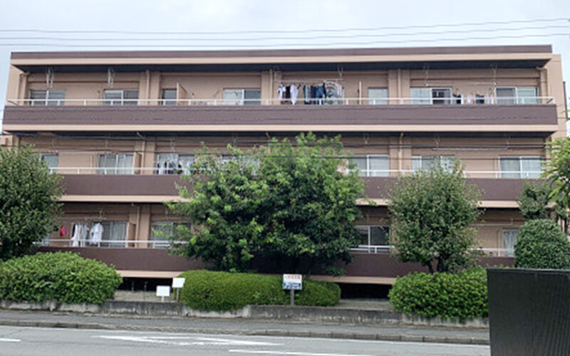 ネクストカラー13